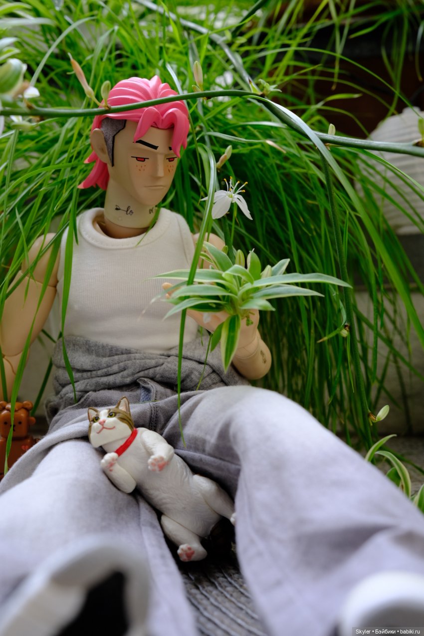 Номинации 2025, куда же без них😅 (фото 5)