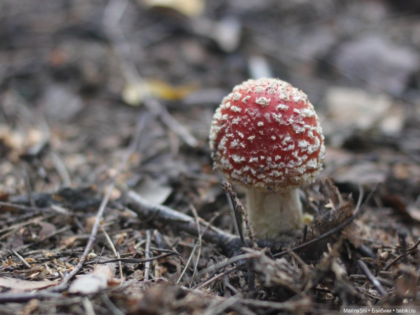 Алика и платье-мухомор — Игровые куклы Zwergnase (Цвергназе) Junior: Джуниор (фото 5)