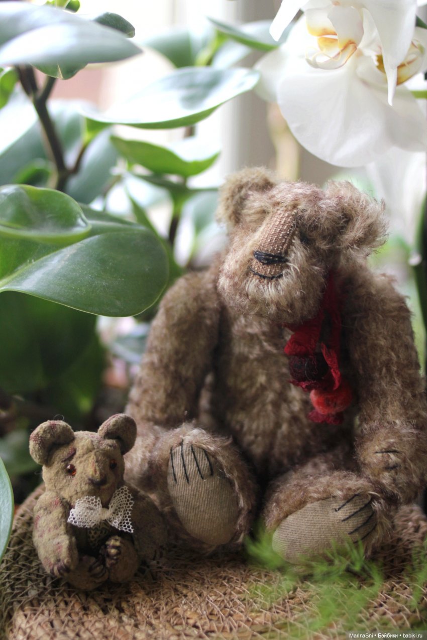 Любимый медведик — Авторские мишки Тедди и друзья: фото (фото 5)