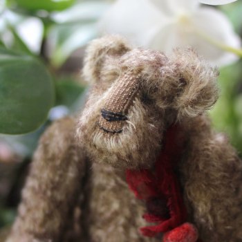 Любимый медведик