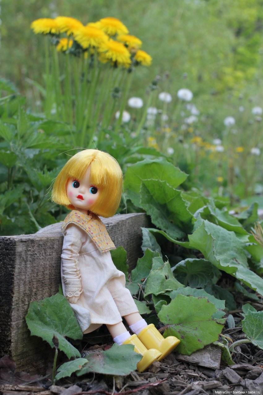 Желточек LittleBerry — Куклы Strawberry Planet: Redberry (фото 5)