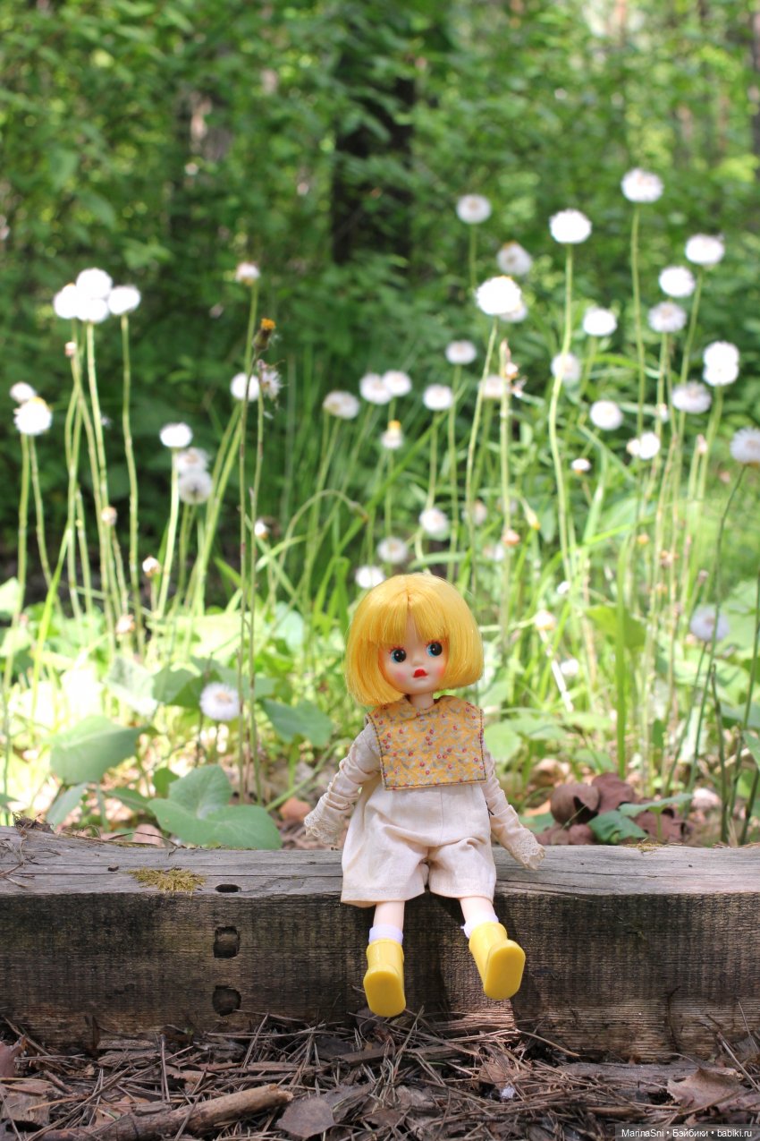 Желточек LittleBerry — Куклы Strawberry Planet: Redberry