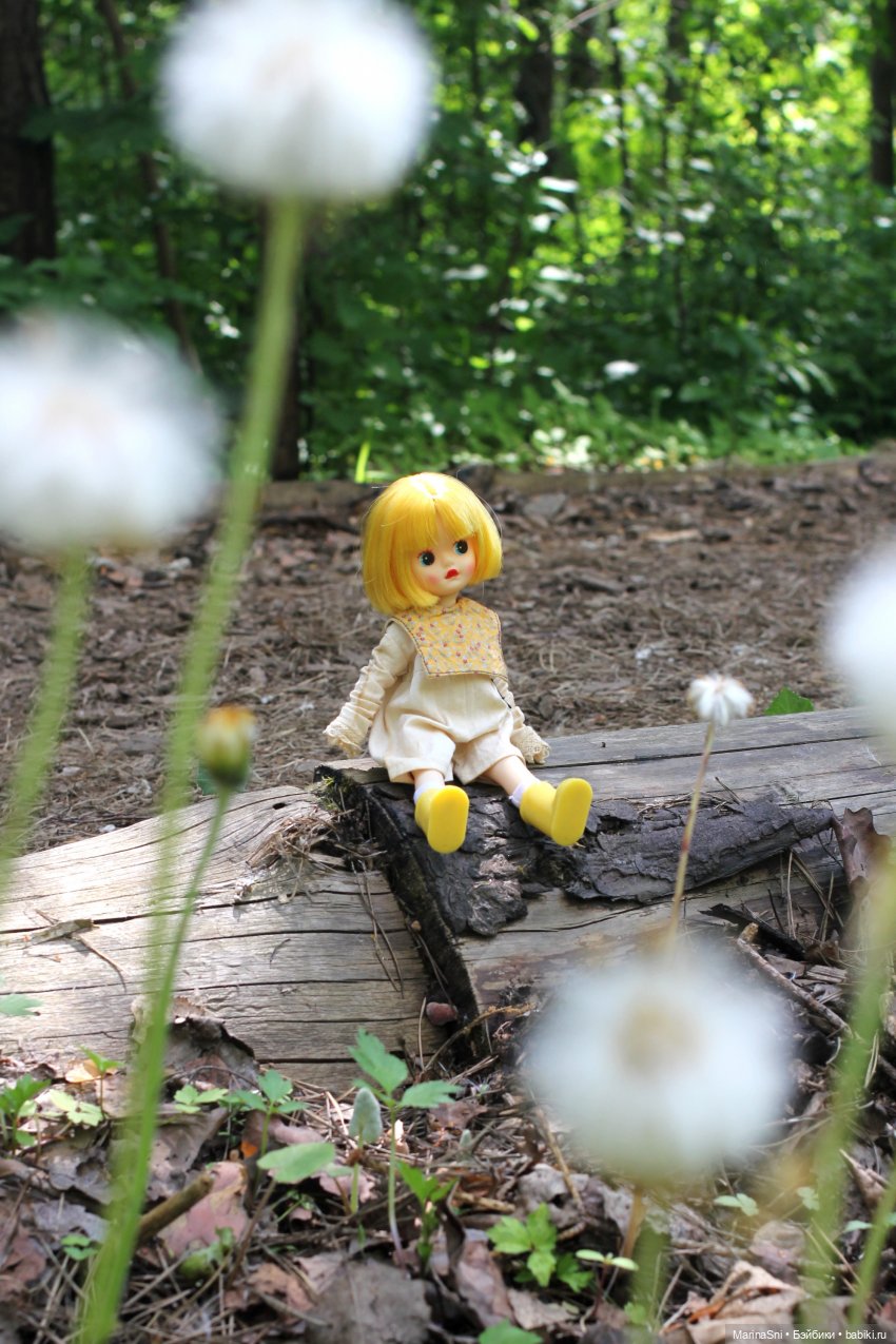 Желточек LittleBerry — Куклы Strawberry Planet: Redberry