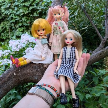 Немного летних фотографий