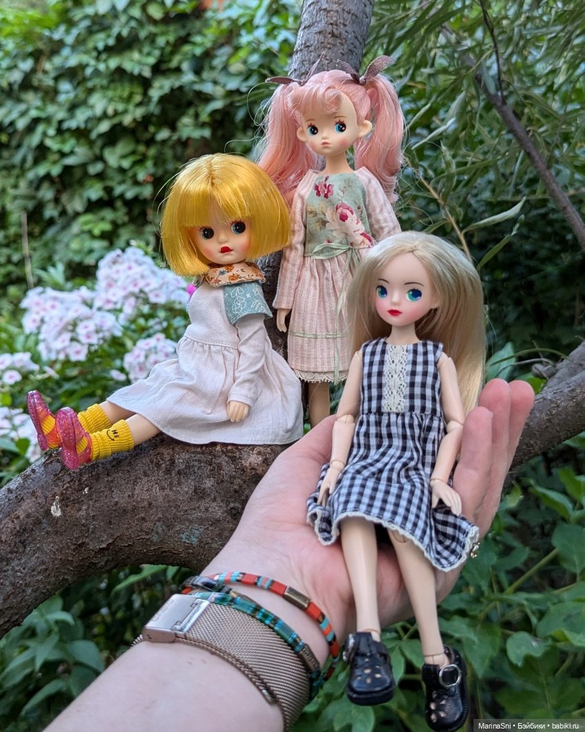 Немного летних фотографий