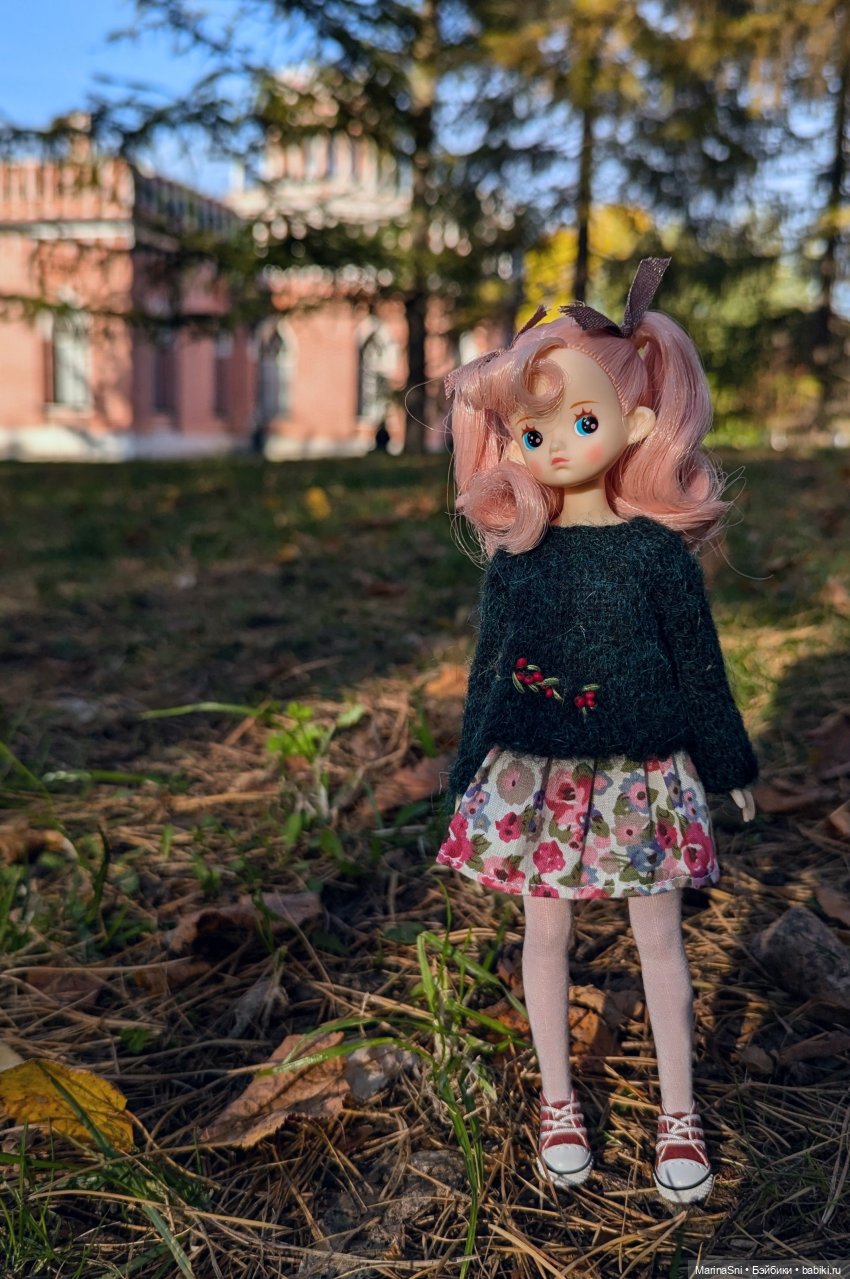 Зефирка в Царицыно — Куклы Strawberry Planet: Redberry