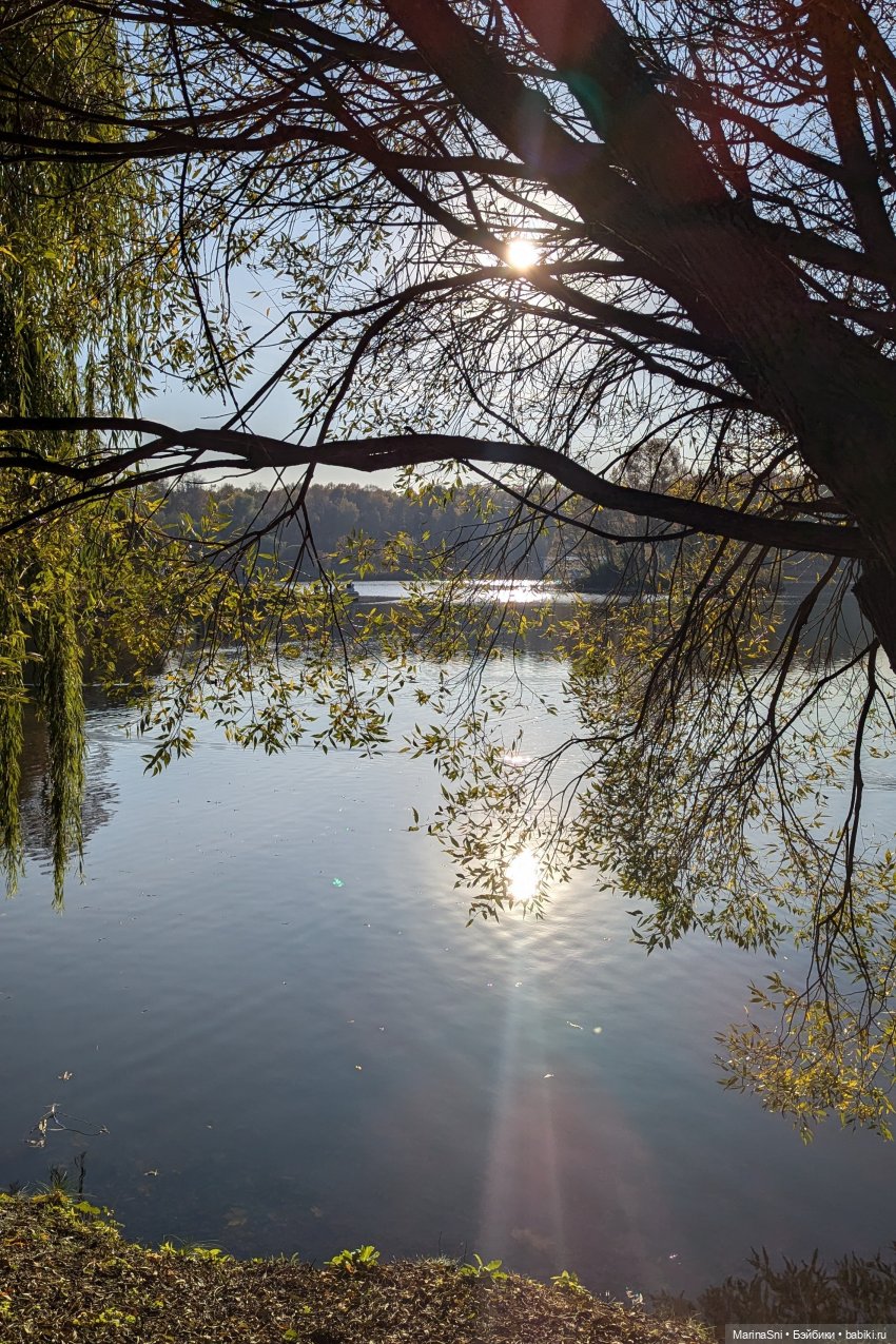 Зефирка в Царицыно — Куклы Strawberry Planet: Redberry (фото 8)