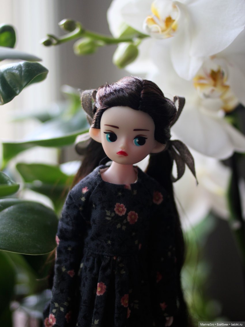 Мои итоги 2024 года — Домашние коллекции кукол: фото собраний (фото 2)