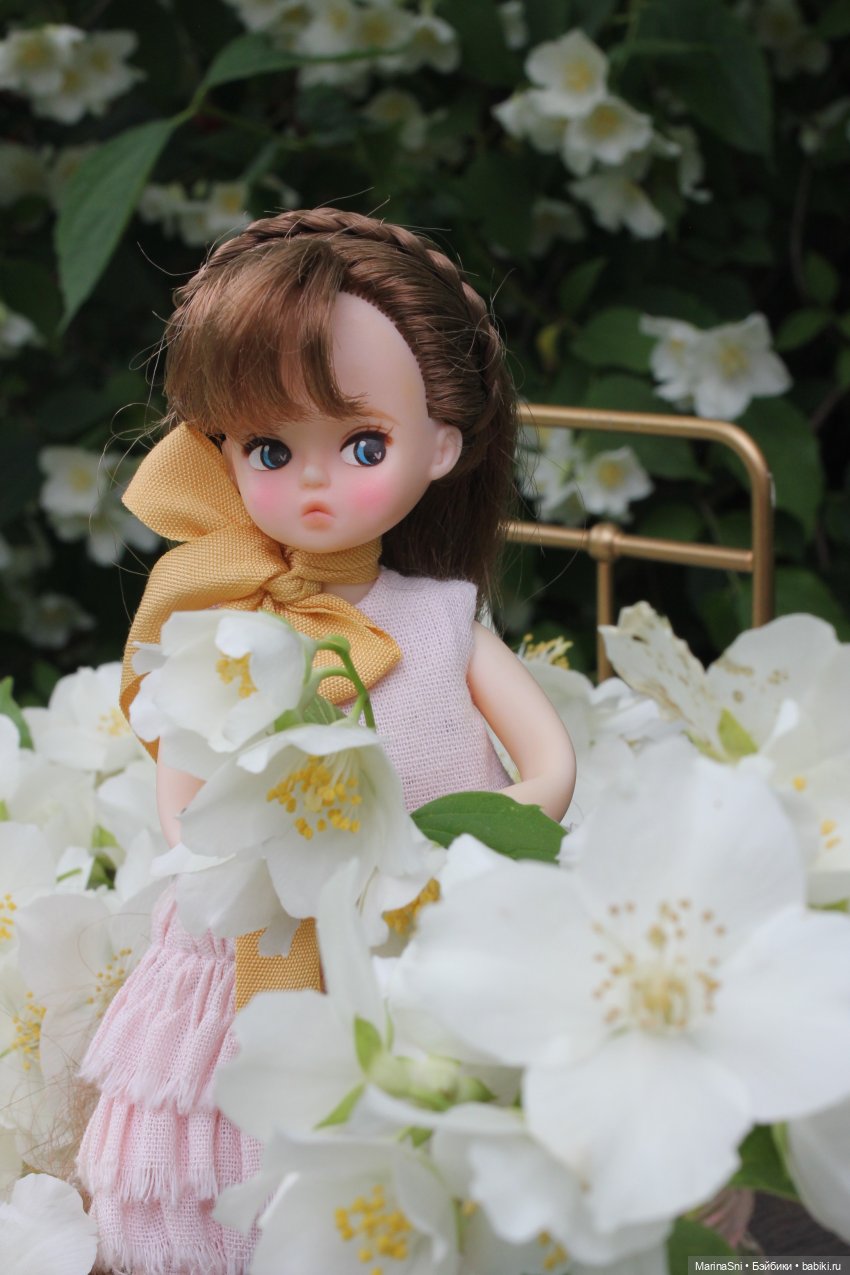 Чикаби - новая любовь — Азиатские виниловые куклы (разное): Китай (фото 5)