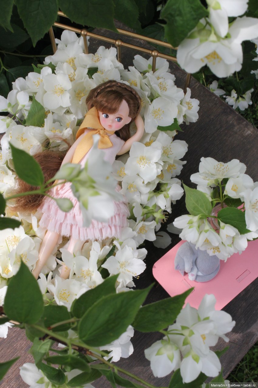 Чикаби - новая любовь — Азиатские виниловые куклы (разное): Китай