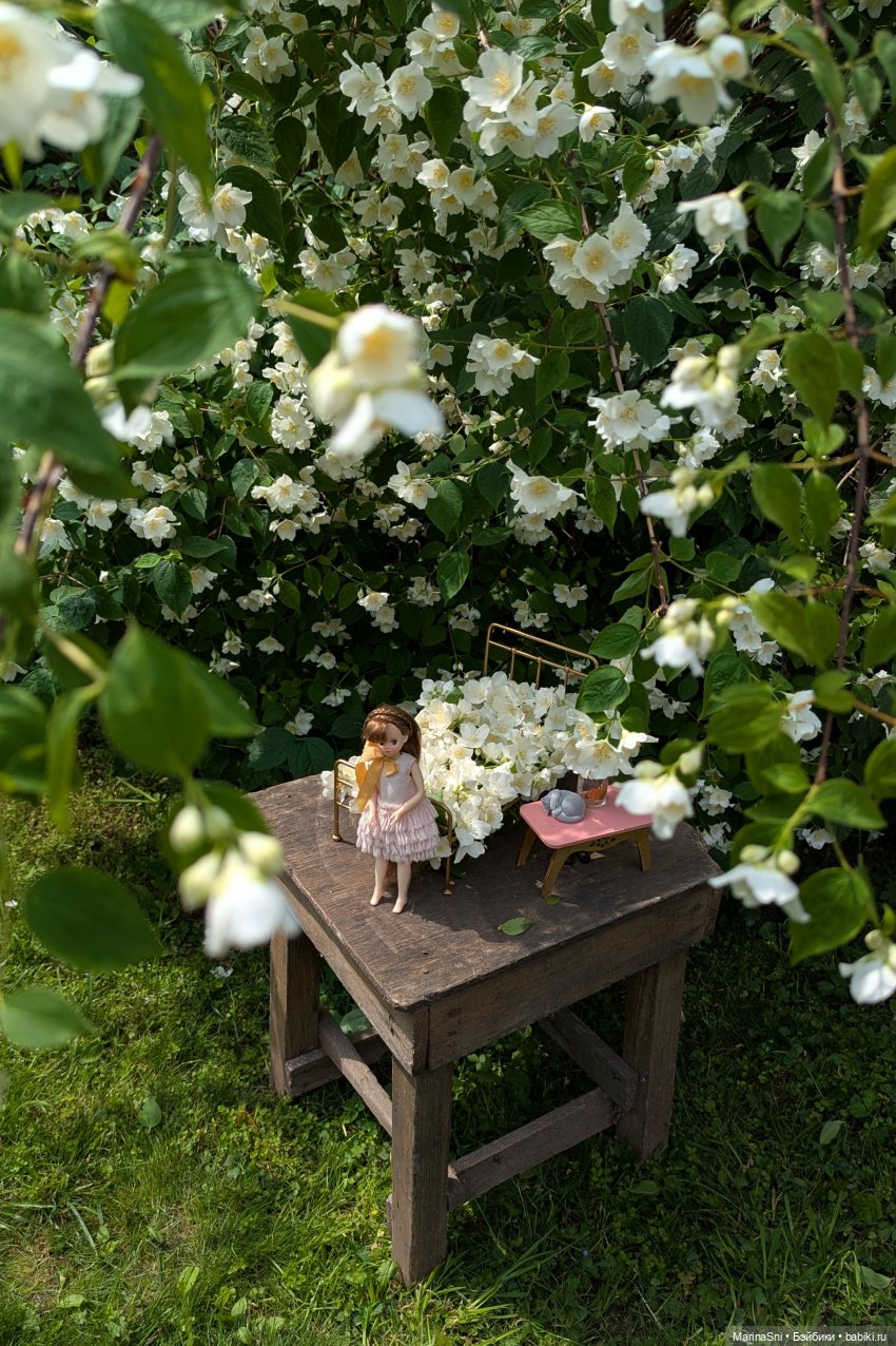 Чикаби - новая любовь — Азиатские виниловые куклы (разное): Китай (фото 2)