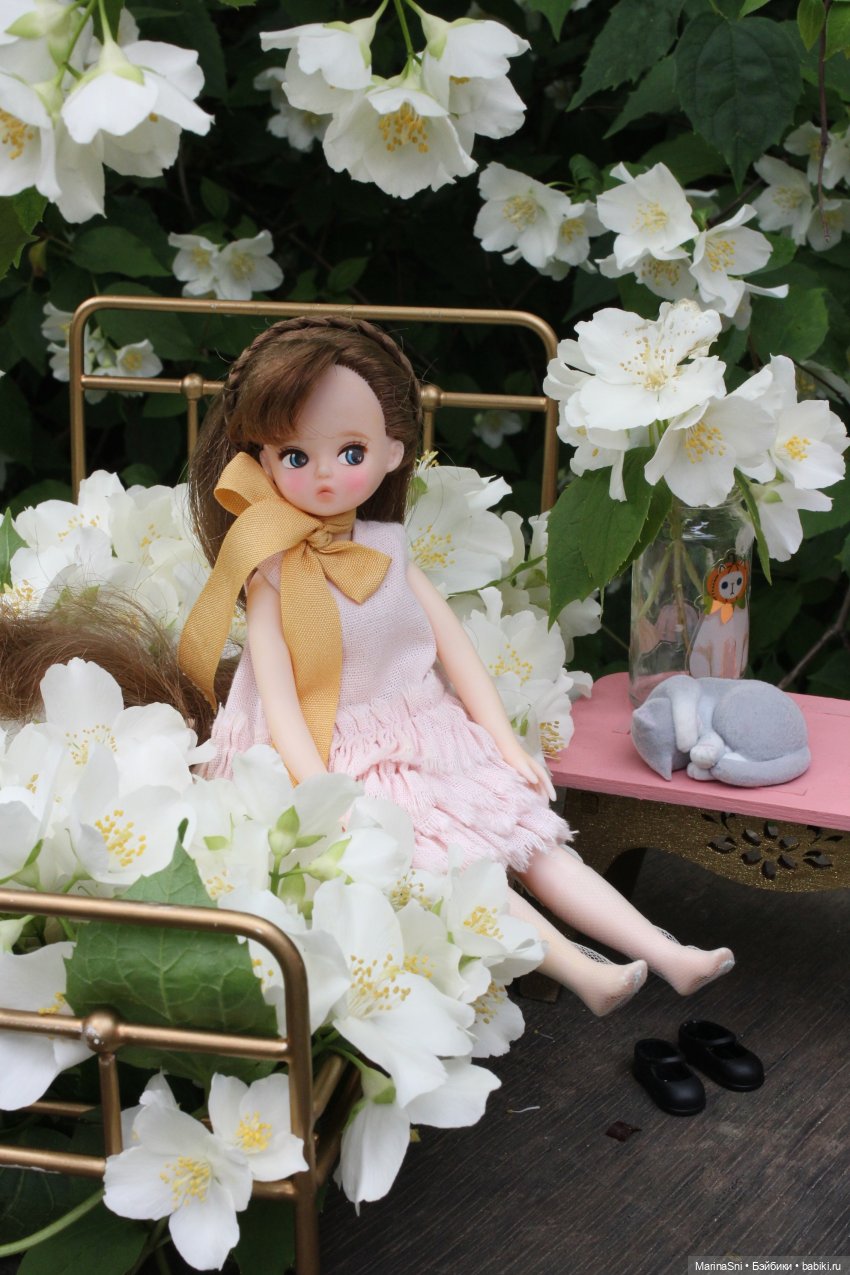 Чикаби - новая любовь — Азиатские виниловые куклы (разное): Китай (фото 9)