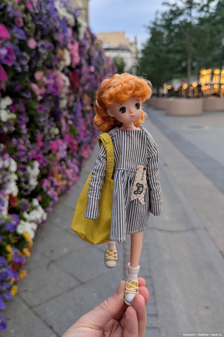 Знакомство с Коко — Азиатские виниловые куклы (разное): Китай