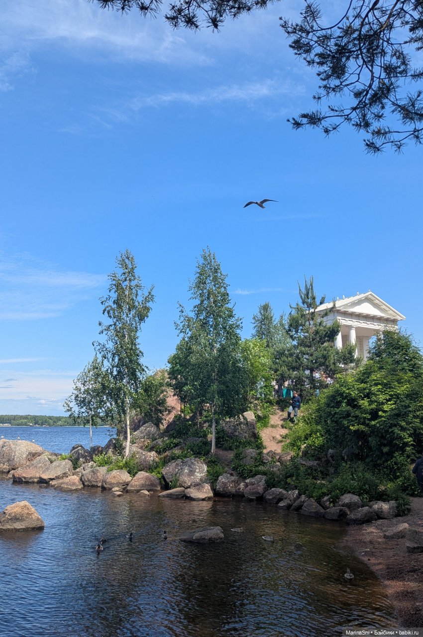 Отпуск маленькой Чики — Азиатские виниловые куклы (разное): Китай (фото 10)