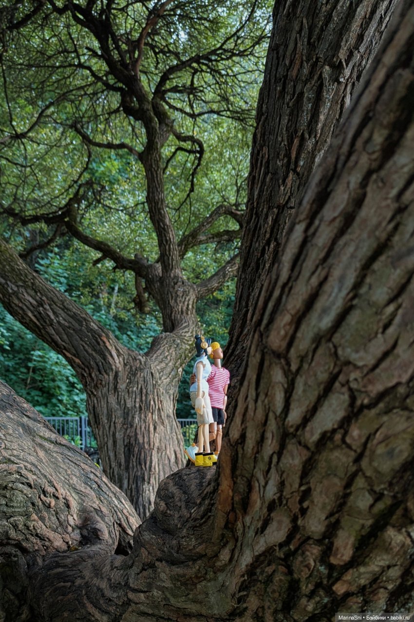 Летний марафон Come4Arts — Экшн