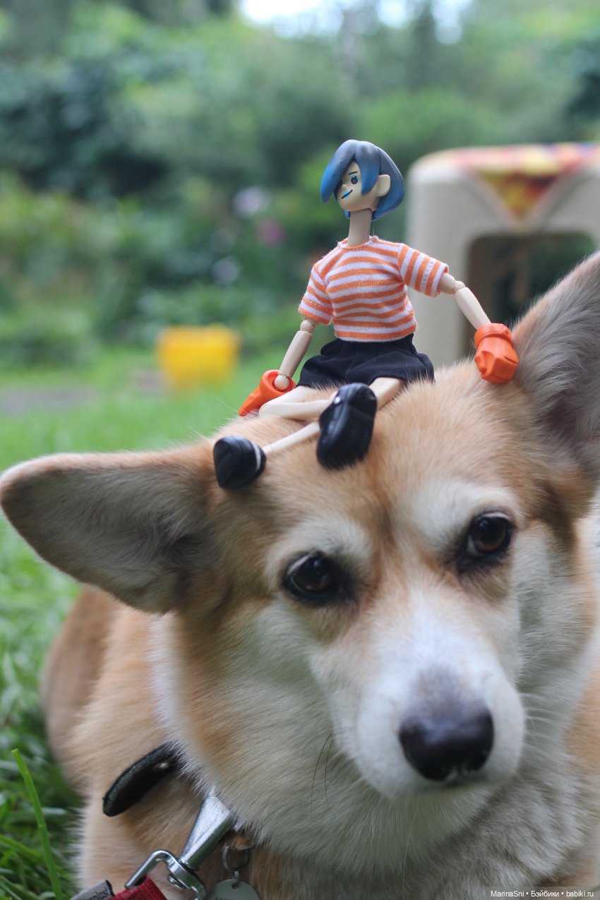 Летний марафон Come4Arts — Экшн