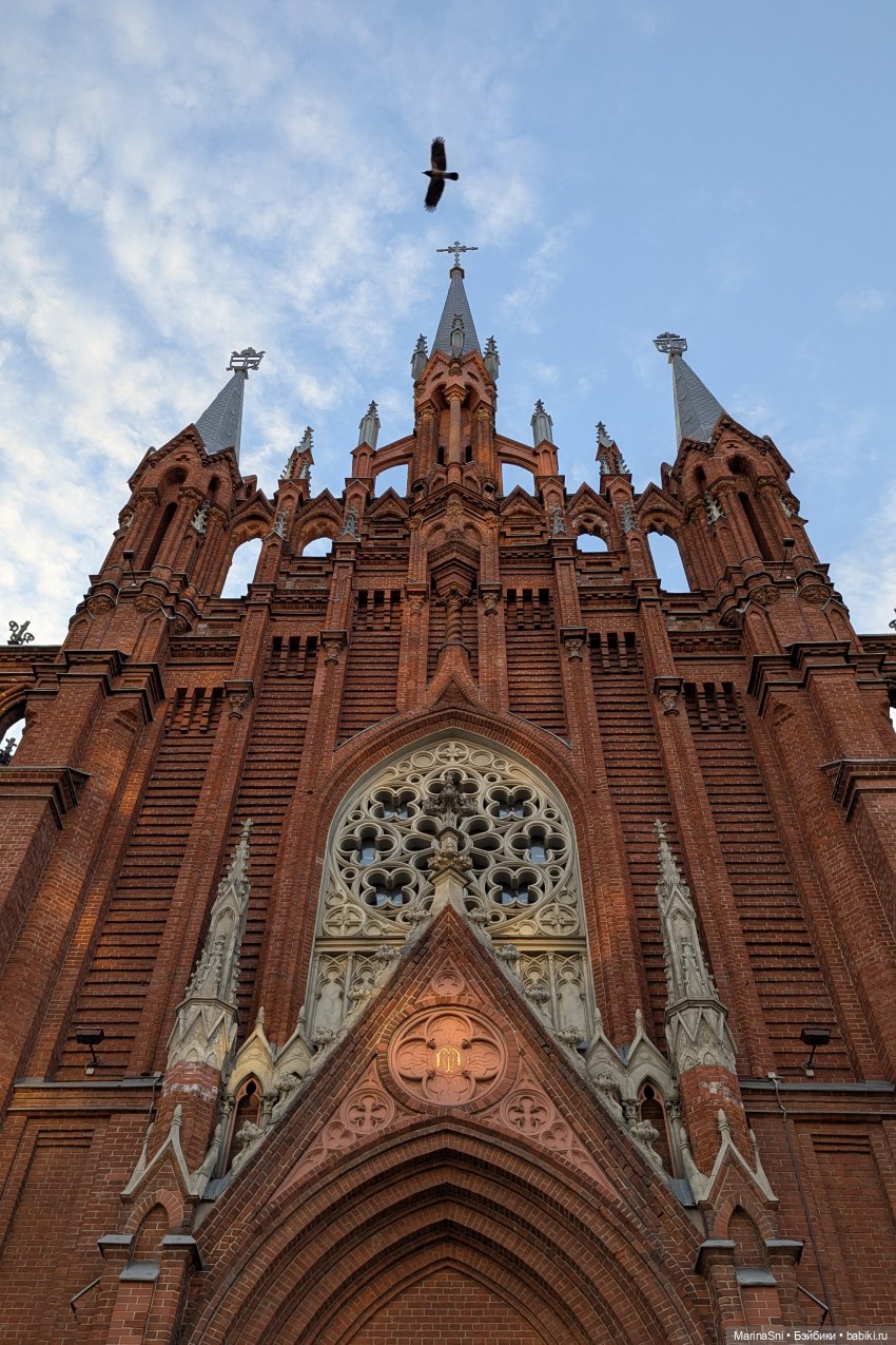 Первая прогулка Ежевики — Куклы Strawberry Planet: Redberry