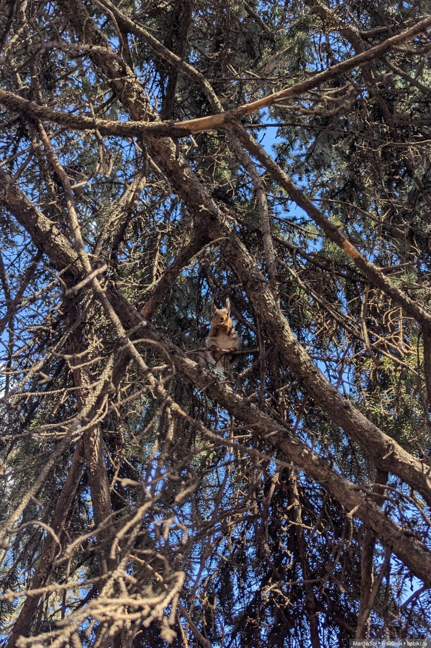 Прогулка с Вилле — Куклы Barbie (Барби): Looks (фото 5)