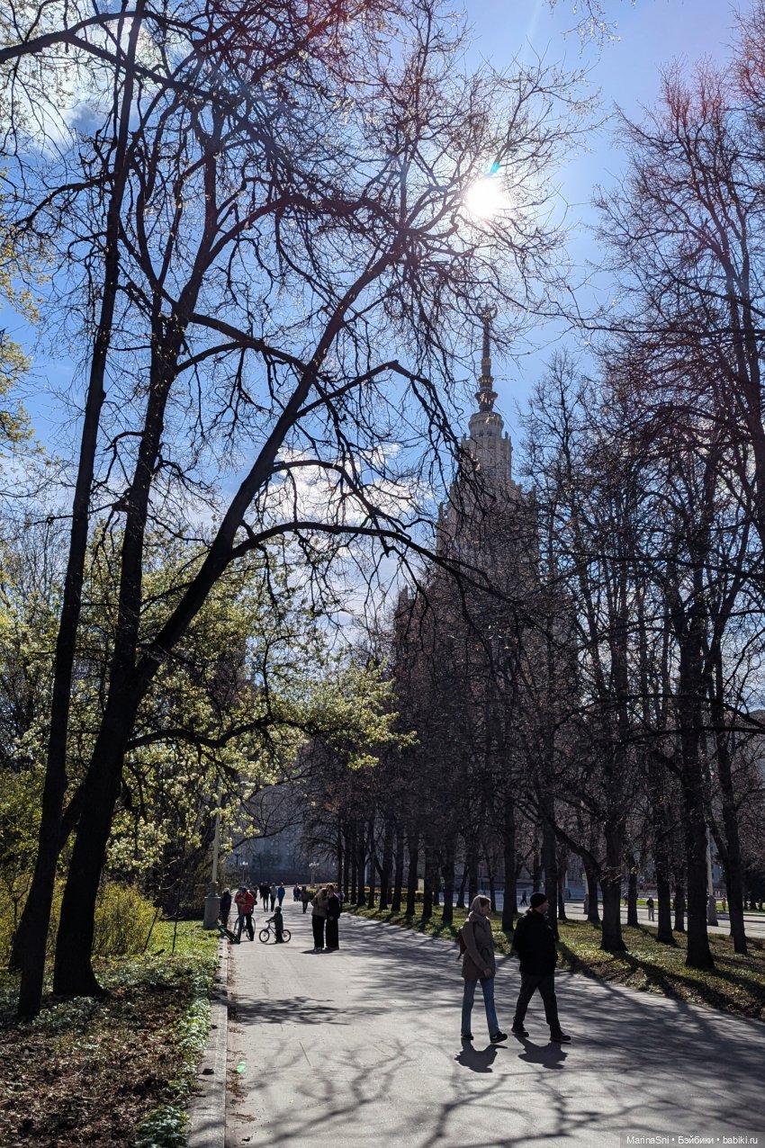 Прогулка с Вилле — Куклы Barbie (Барби): Looks