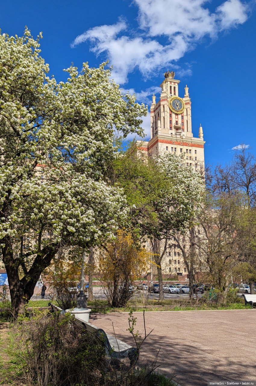 Прогулка с Вилле — Куклы Barbie (Барби): Looks (фото 7)