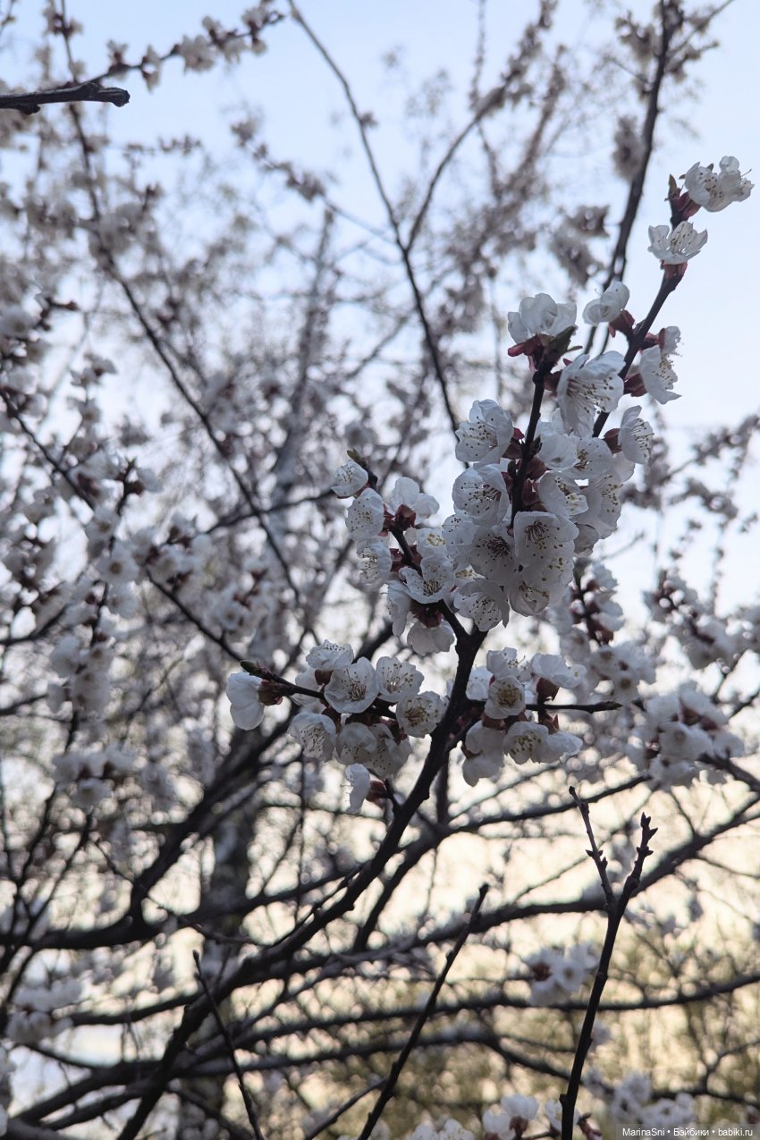 Прогулка с Вилле — Куклы Barbie (Барби): Looks