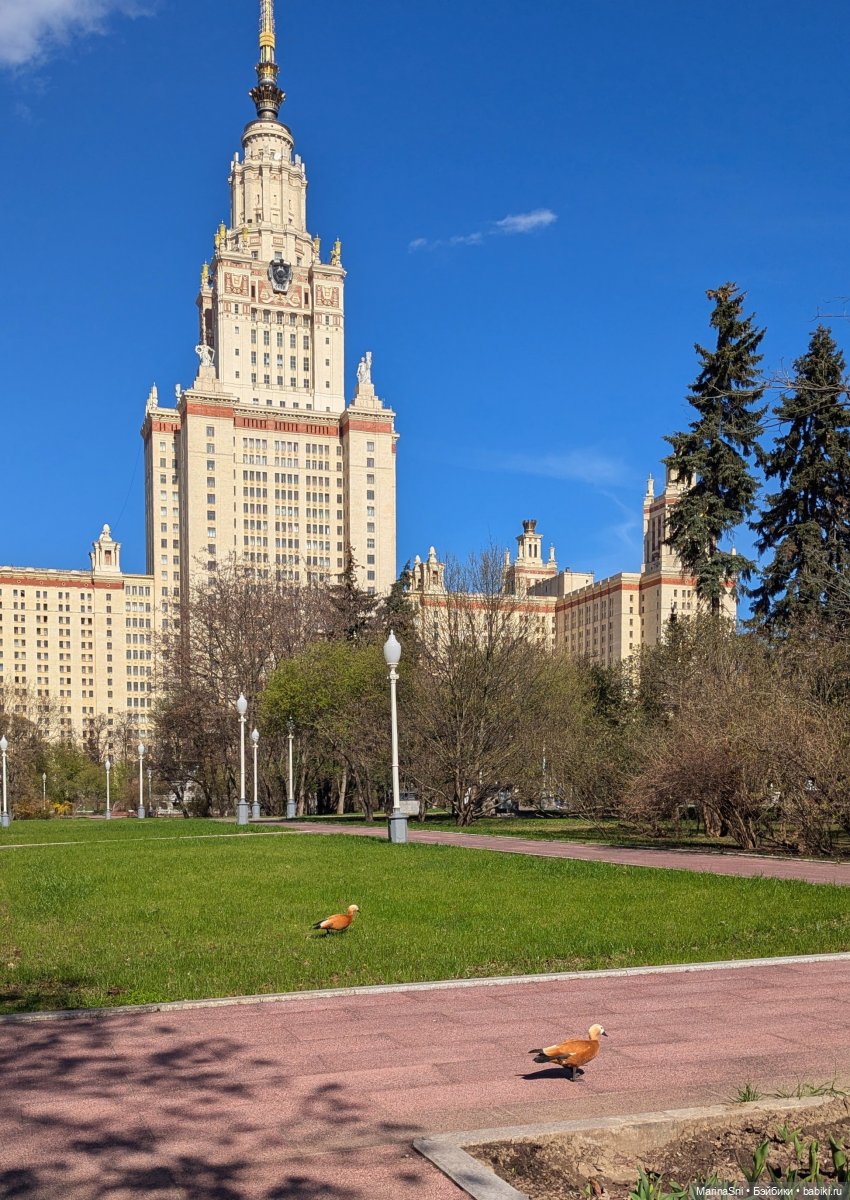 Прогулка с Вилле — Куклы Barbie (Барби): Looks (фото 6)