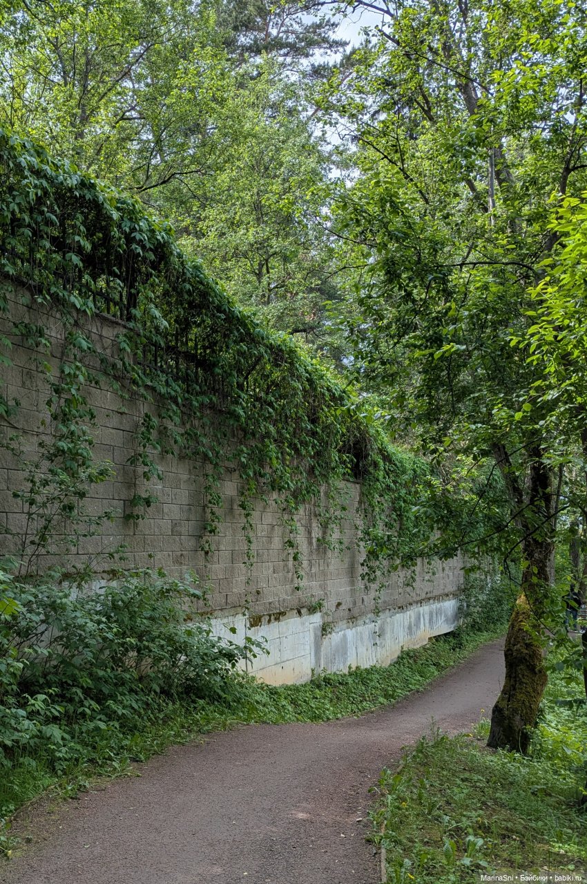 Новая Рэдберри - Джейн. Прогулка по Переделкино