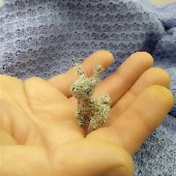 Маленький зайчик в больших и сильных руках