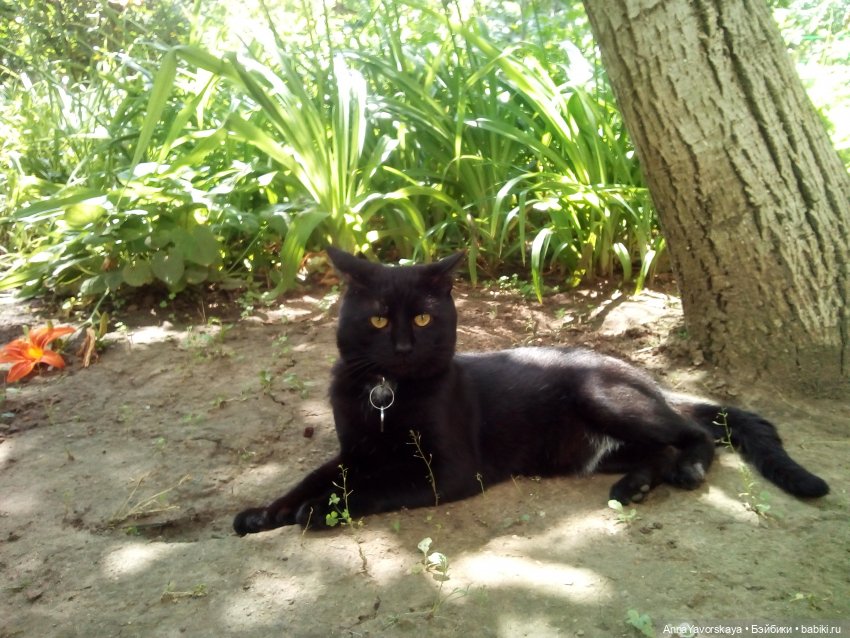 Кто рано встаёт, тому Бог куколок даёт