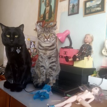 Ремонт китайской Косоглазки (про Помощников)