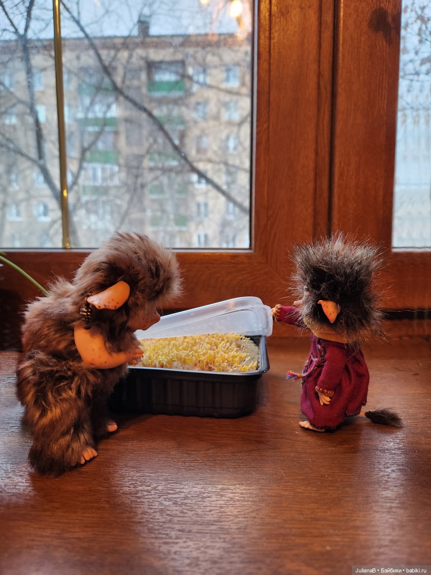 Огород круглый год — Домашние фото авторских кукол: личные коллекции (фото 5)