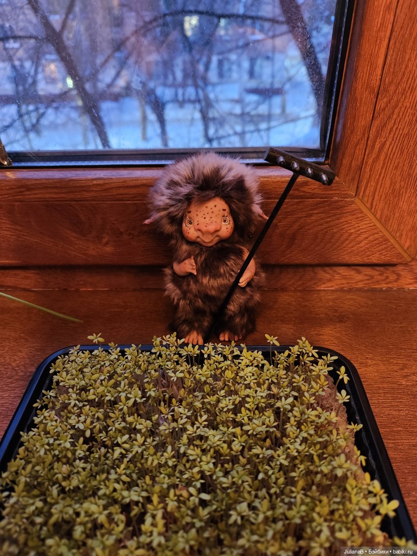 Огород круглый год — Домашние фото авторских кукол: личные коллекции (фото 7)