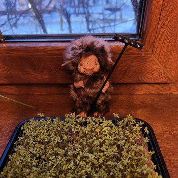 Огород круглый год