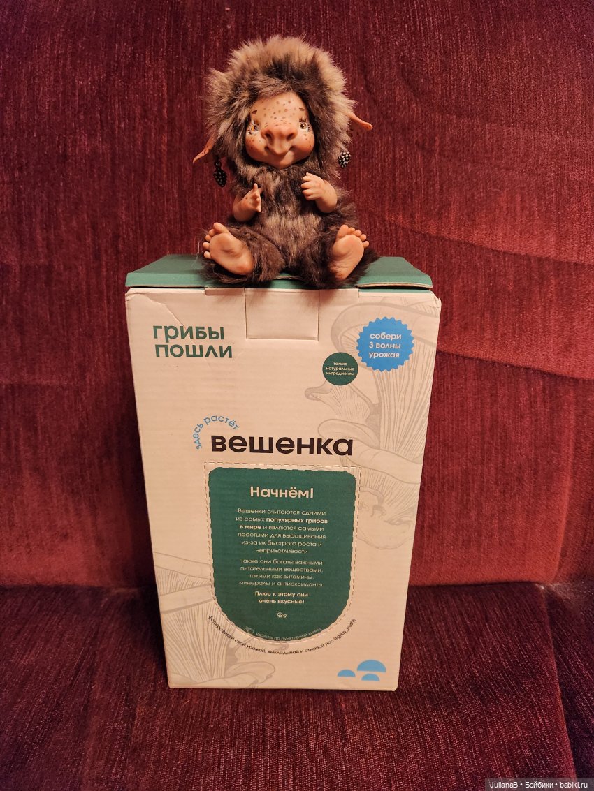 Про грибы — Домашние фото авторских игрушек: Тедди (фото 4)
