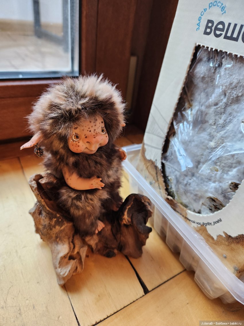 Про грибы — Домашние фото авторских игрушек: Тедди