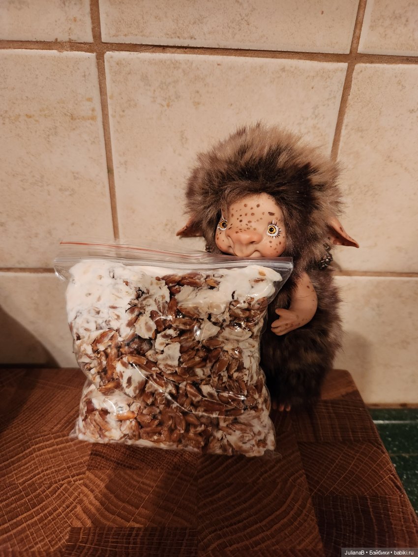 Про грибы — Домашние фото авторских игрушек: Тедди (фото 10)