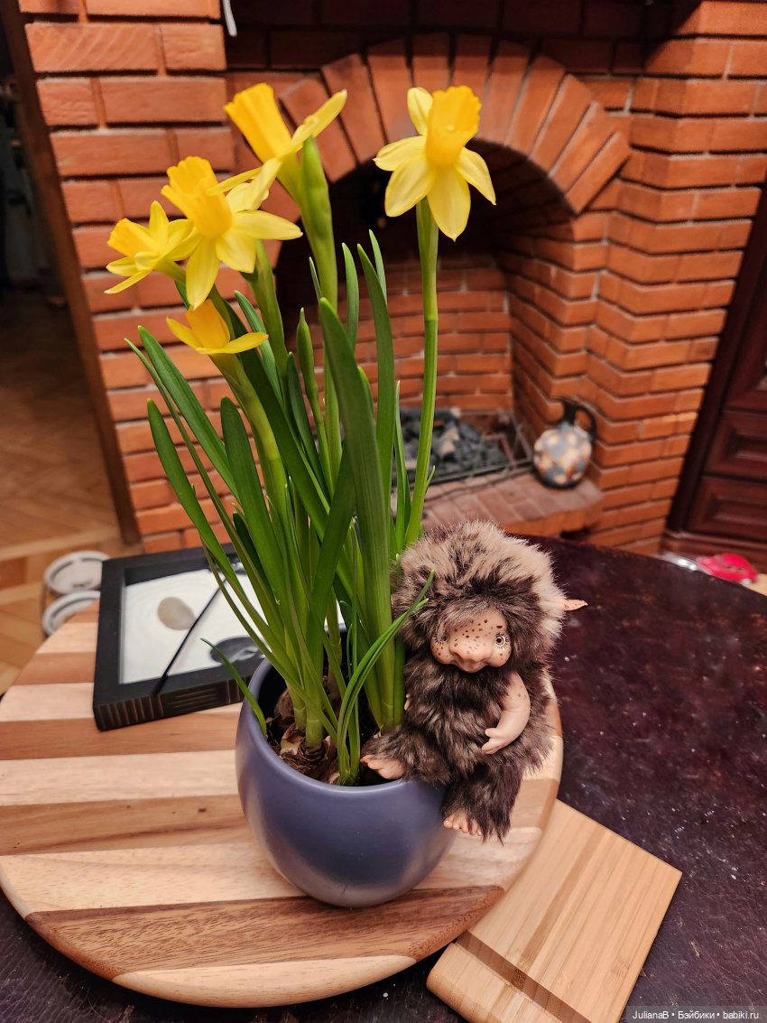 Про грибы — Домашние фото авторских игрушек: Тедди