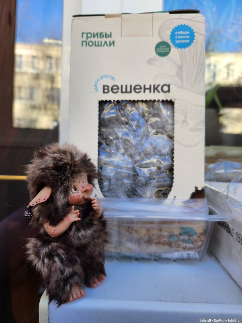 Про грибы — Домашние фото авторских игрушек: Тедди