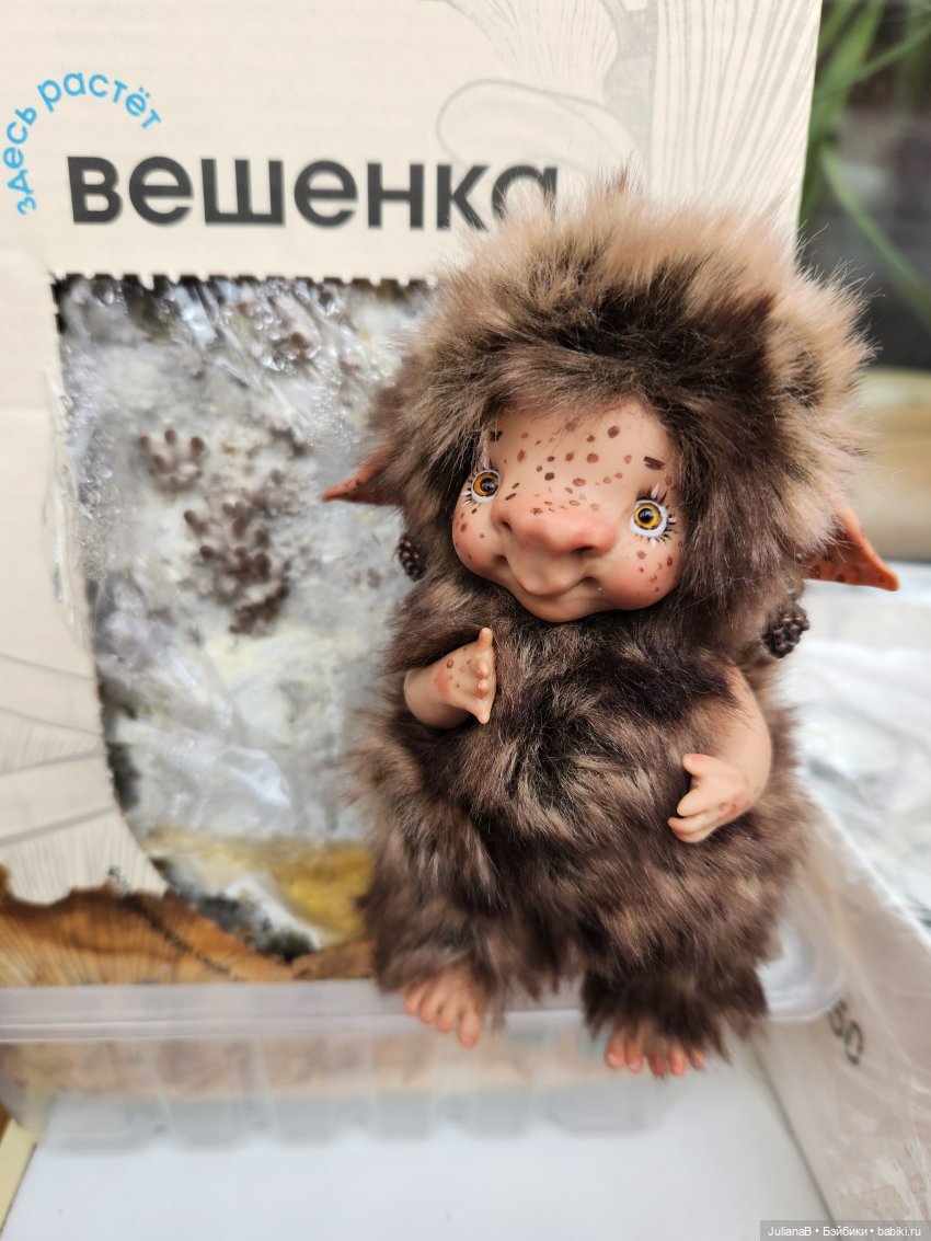 Про грибы — Домашние фото авторских игрушек: Тедди