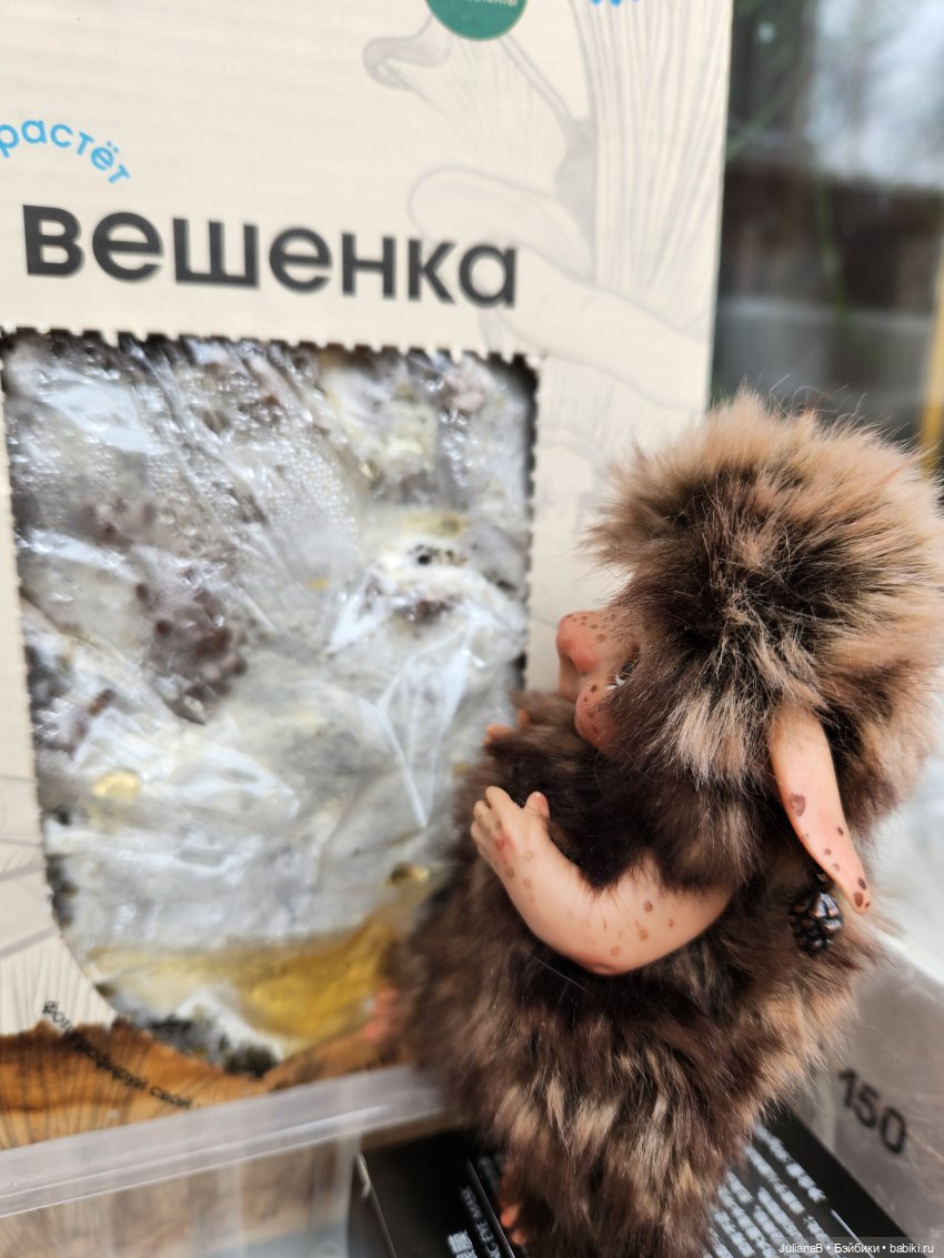 Про грибы — Домашние фото авторских игрушек: Тедди