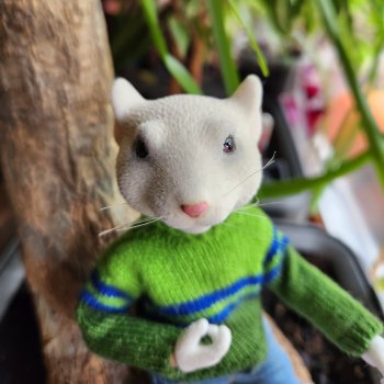 Мышь лабораторная