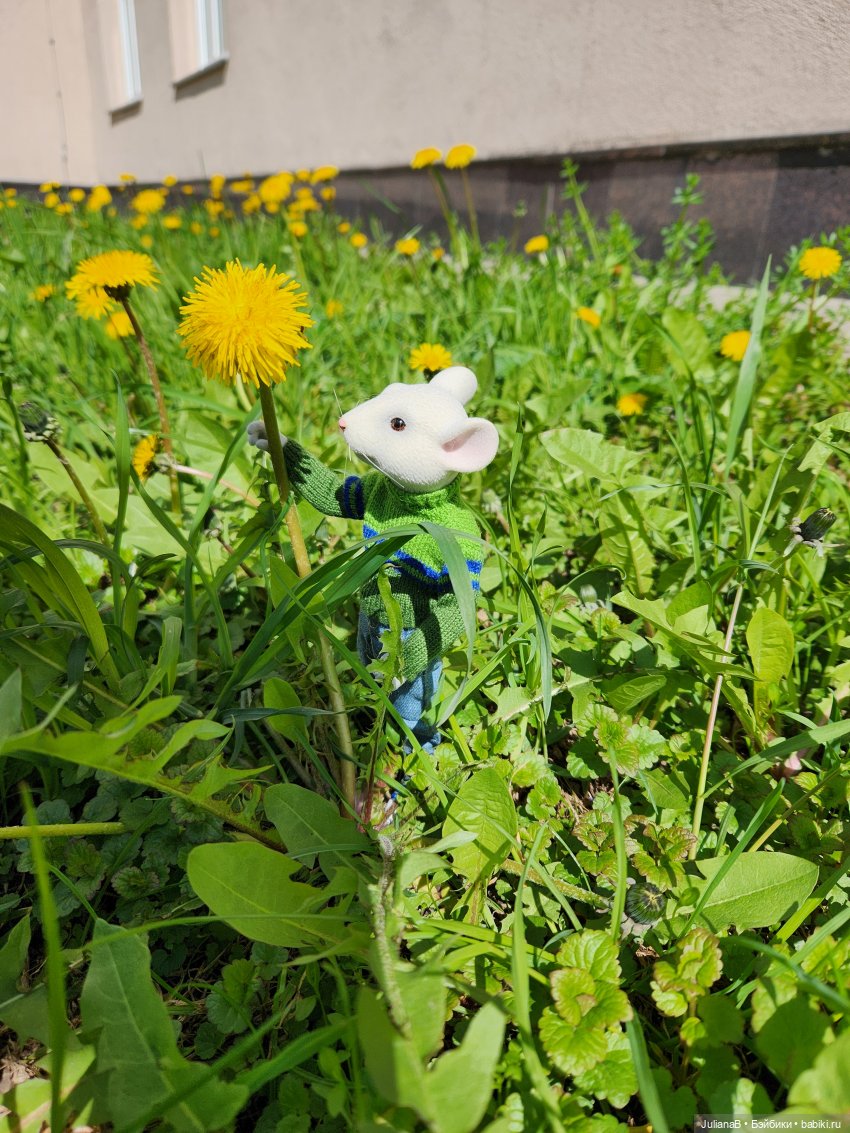 Два дня из жизни мыши — Разные шарнирные куклы (не БЖД): редкие (фото 3)