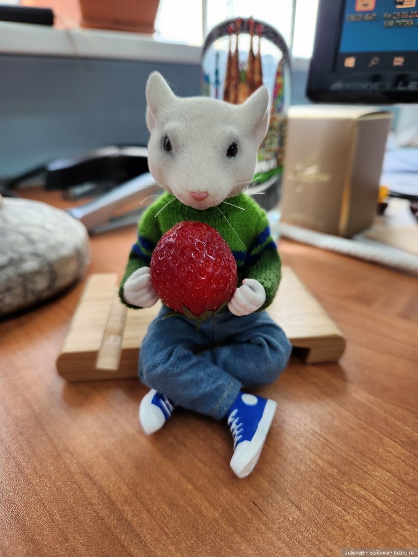 Два дня из жизни мыши — Разные шарнирные куклы (не БЖД): редкие (фото 8)
