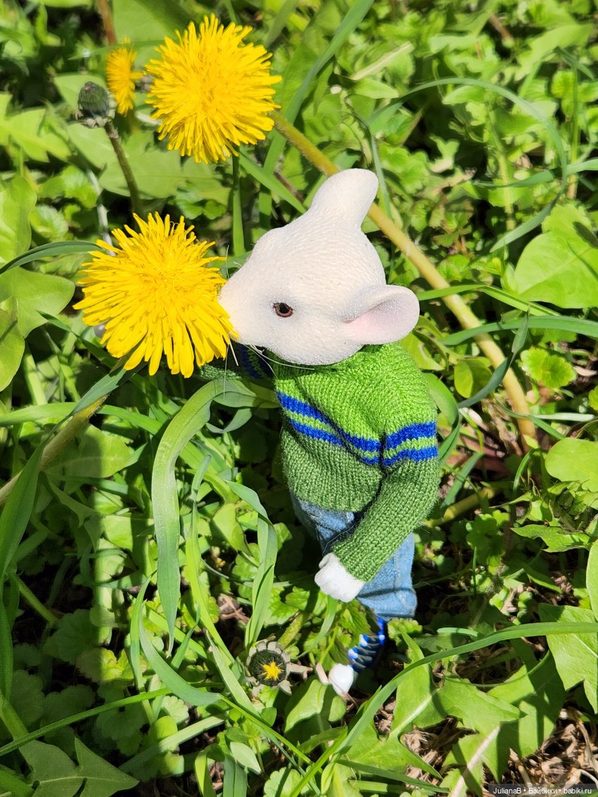 Два дня из жизни мыши — Разные шарнирные куклы (не БЖД): редкие (фото 4)