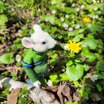 Два дня из жизни мыши