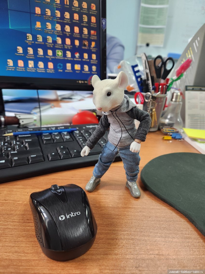Про компьютерного хомяка — Разные шарнирные куклы (не БЖД): редкие (фото 3)