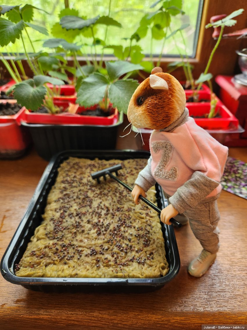 Натто? Дарвин — Разные шарнирные куклы (не БЖД): редкие (фото 4)