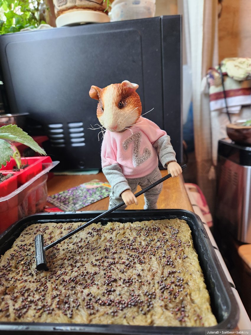 Натто? Дарвин — Разные шарнирные куклы (не БЖД): редкие (фото 5)