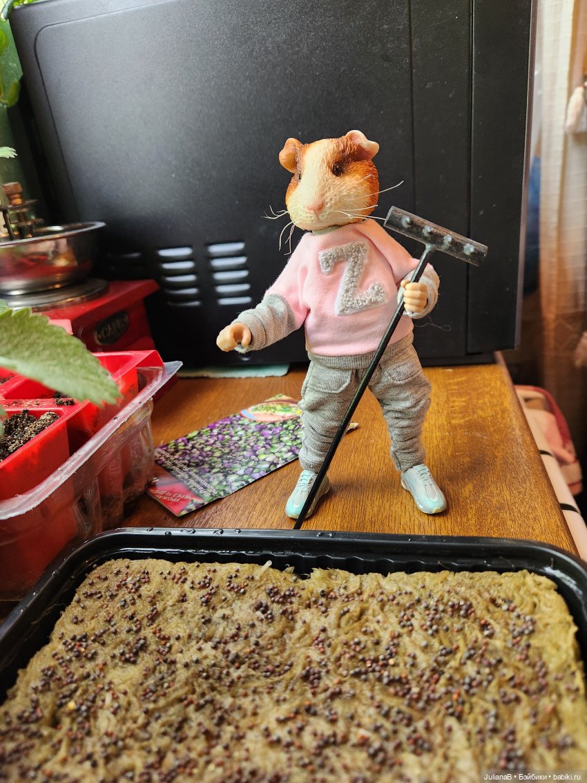 Натто? Дарвин — Разные шарнирные куклы (не БЖД): редкие (фото 6)