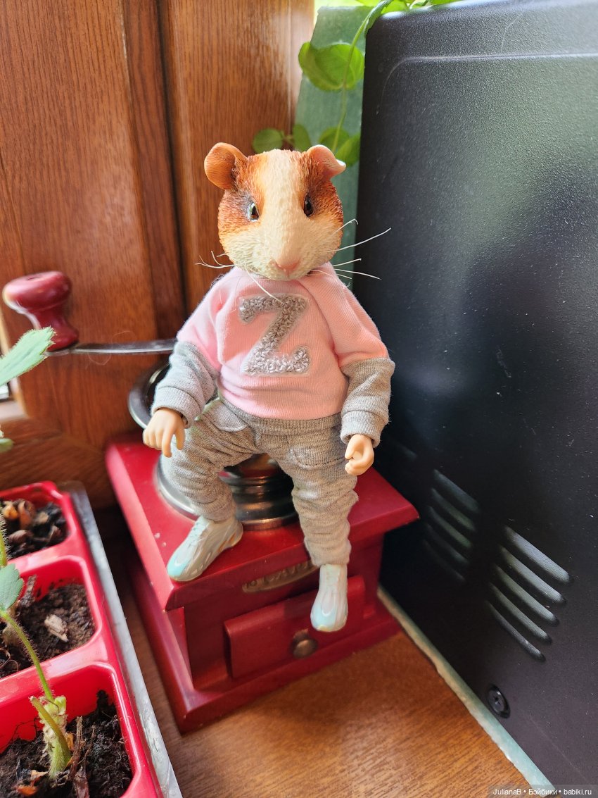 Натто? Дарвин — Разные шарнирные куклы (не БЖД): редкие (фото 8)